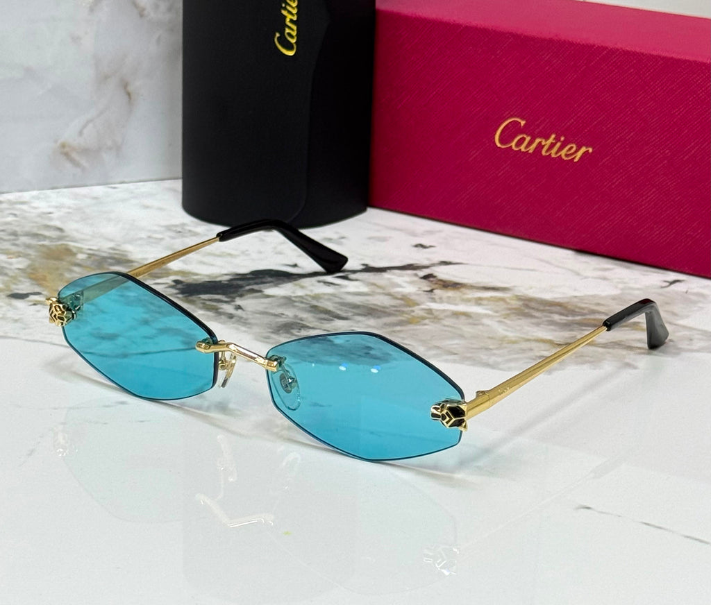 Carter sunglasses 🕶️