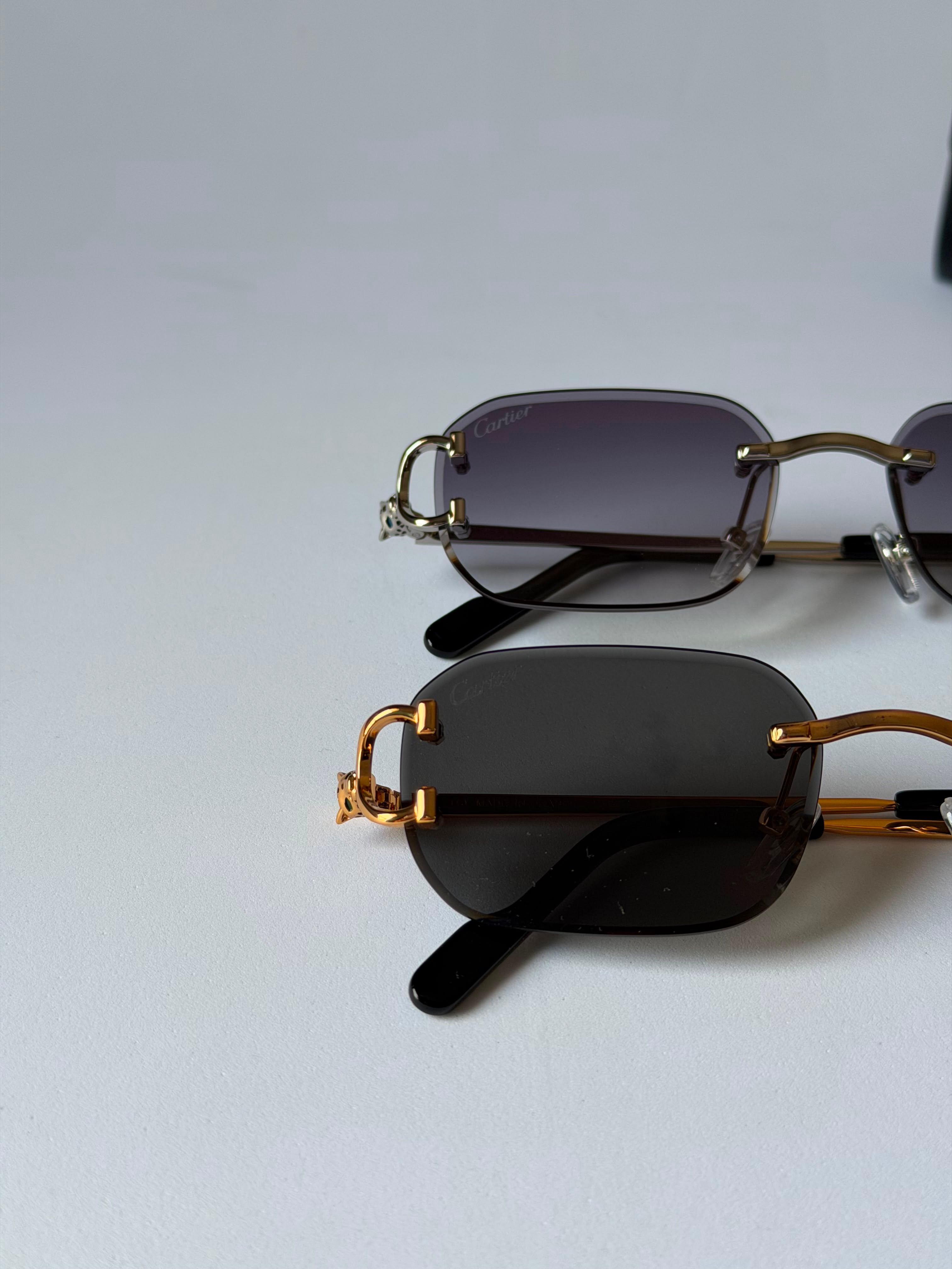 Carter sunglasses 🕶️
