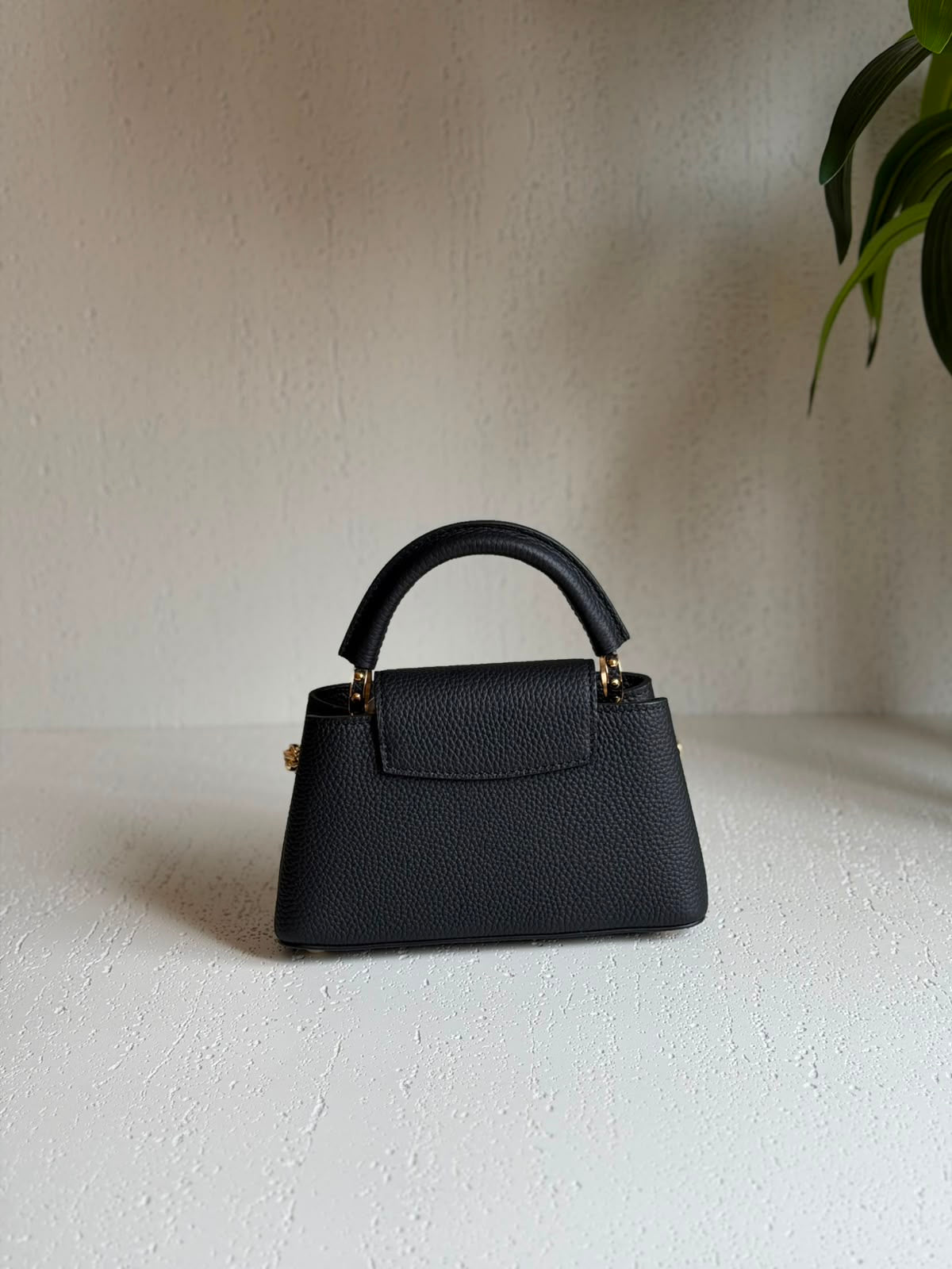 Lv bag Ladys