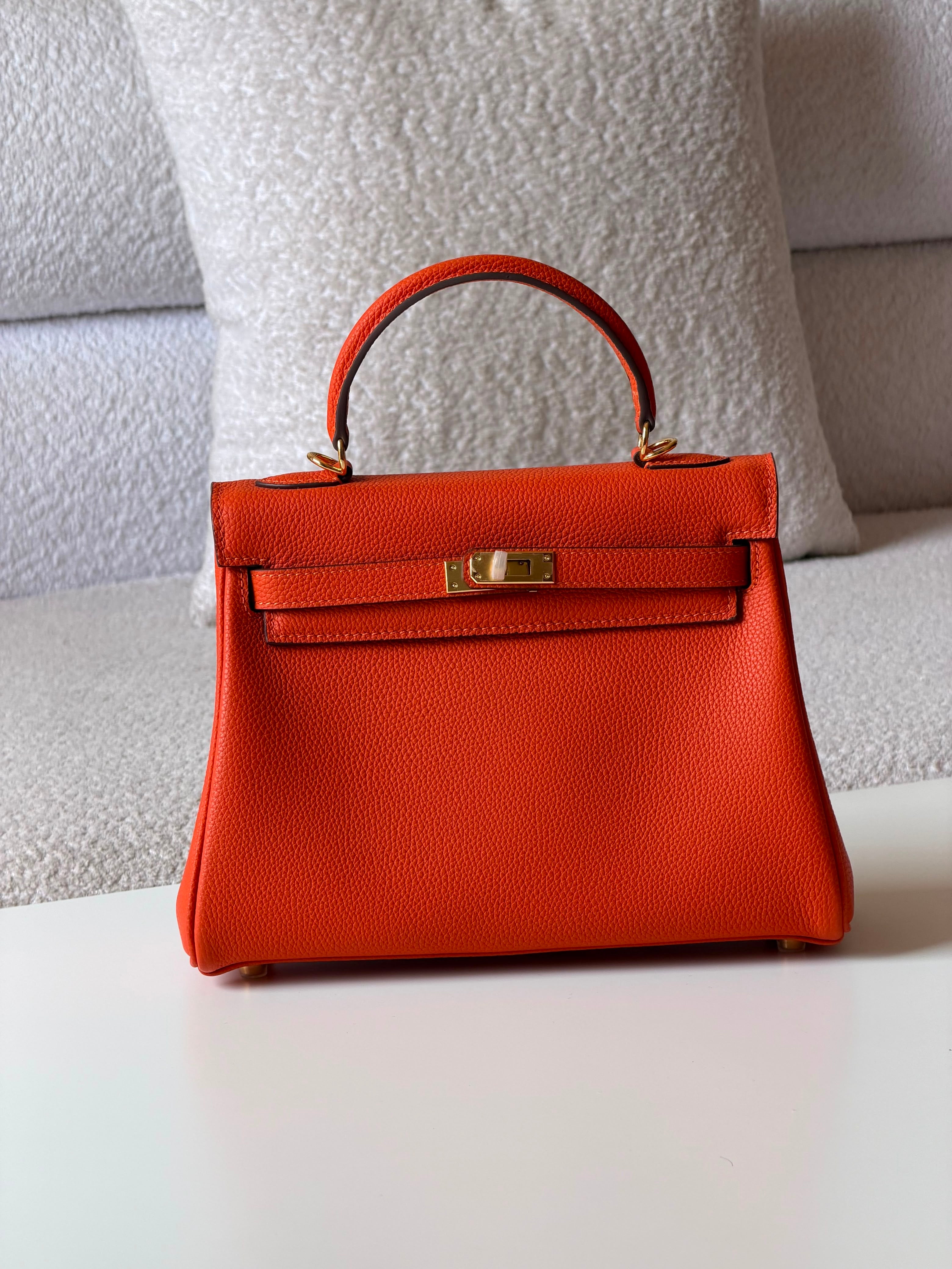 Hermes bag birken