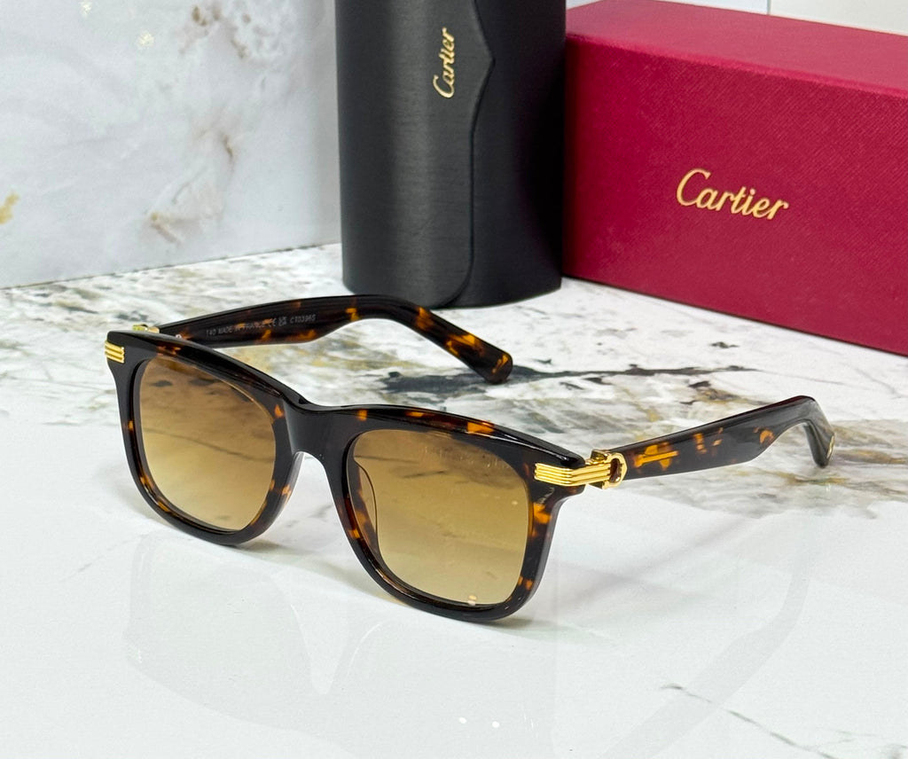 Carter sunglasses 🕶️