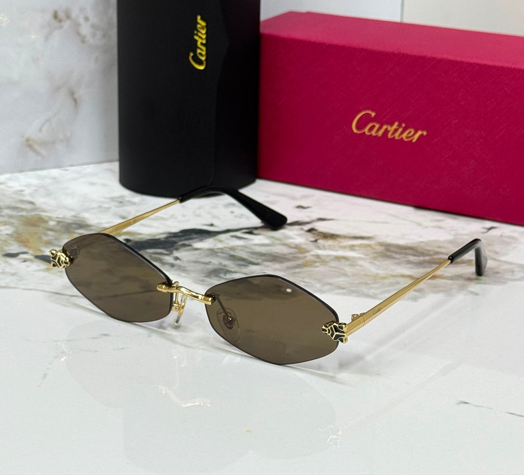 Carter sunglasses 🕶️