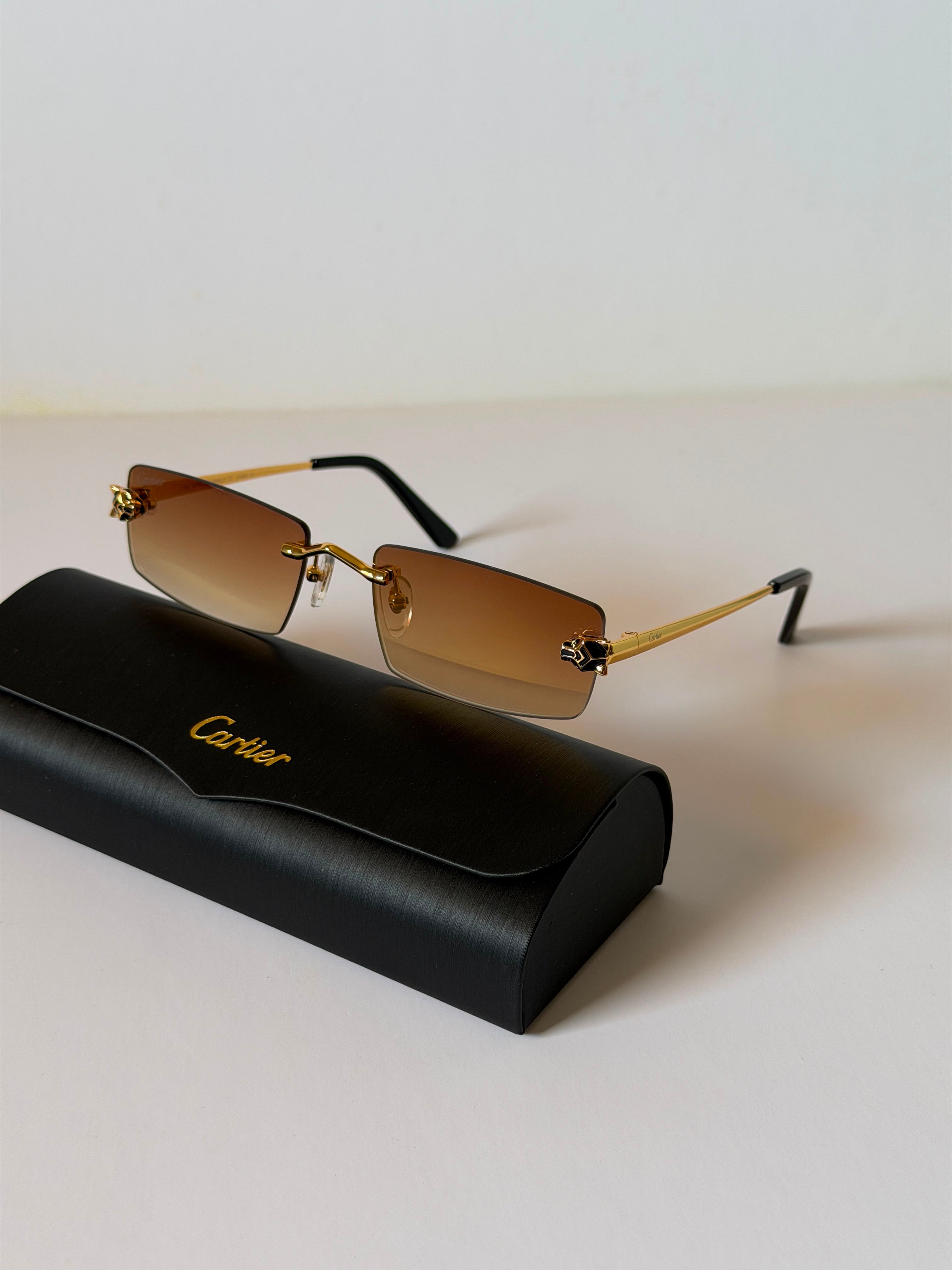 Carter sunglasses 🕶️