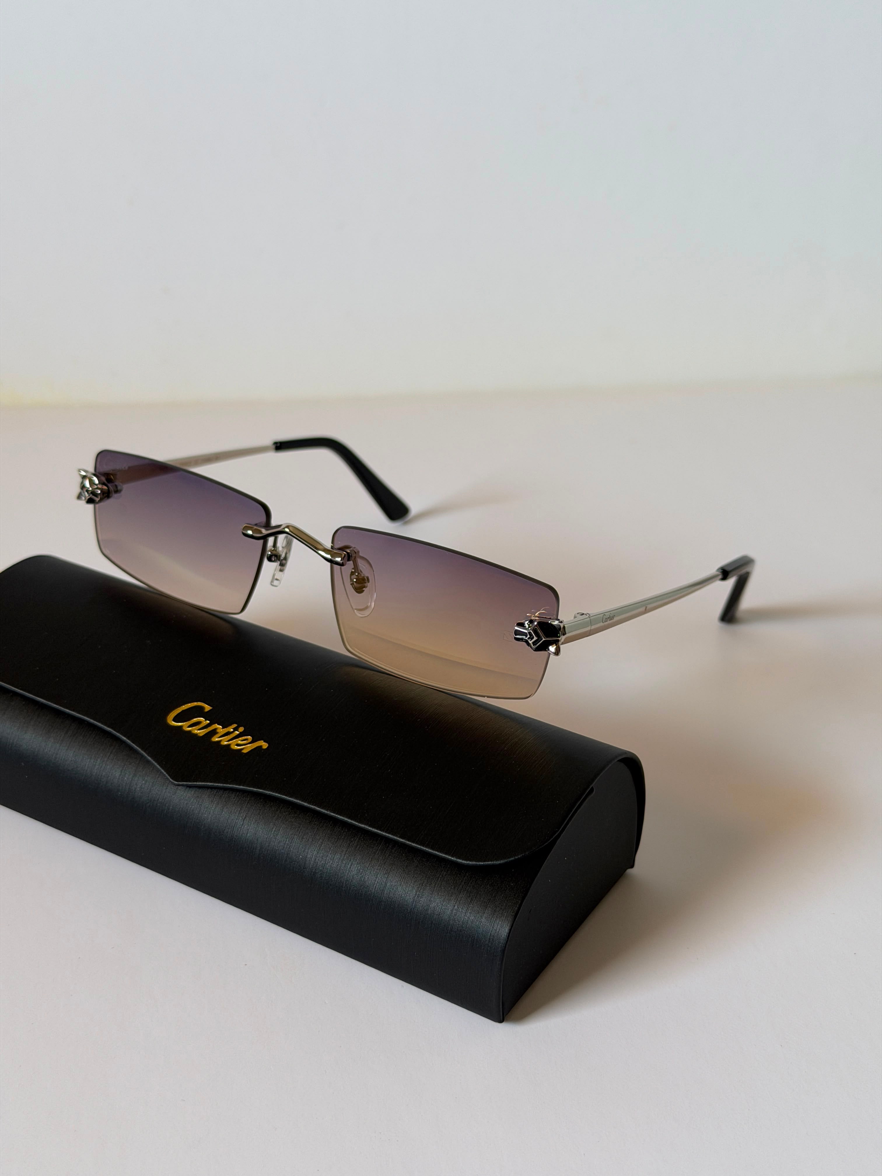 Carter sunglasses 🕶️