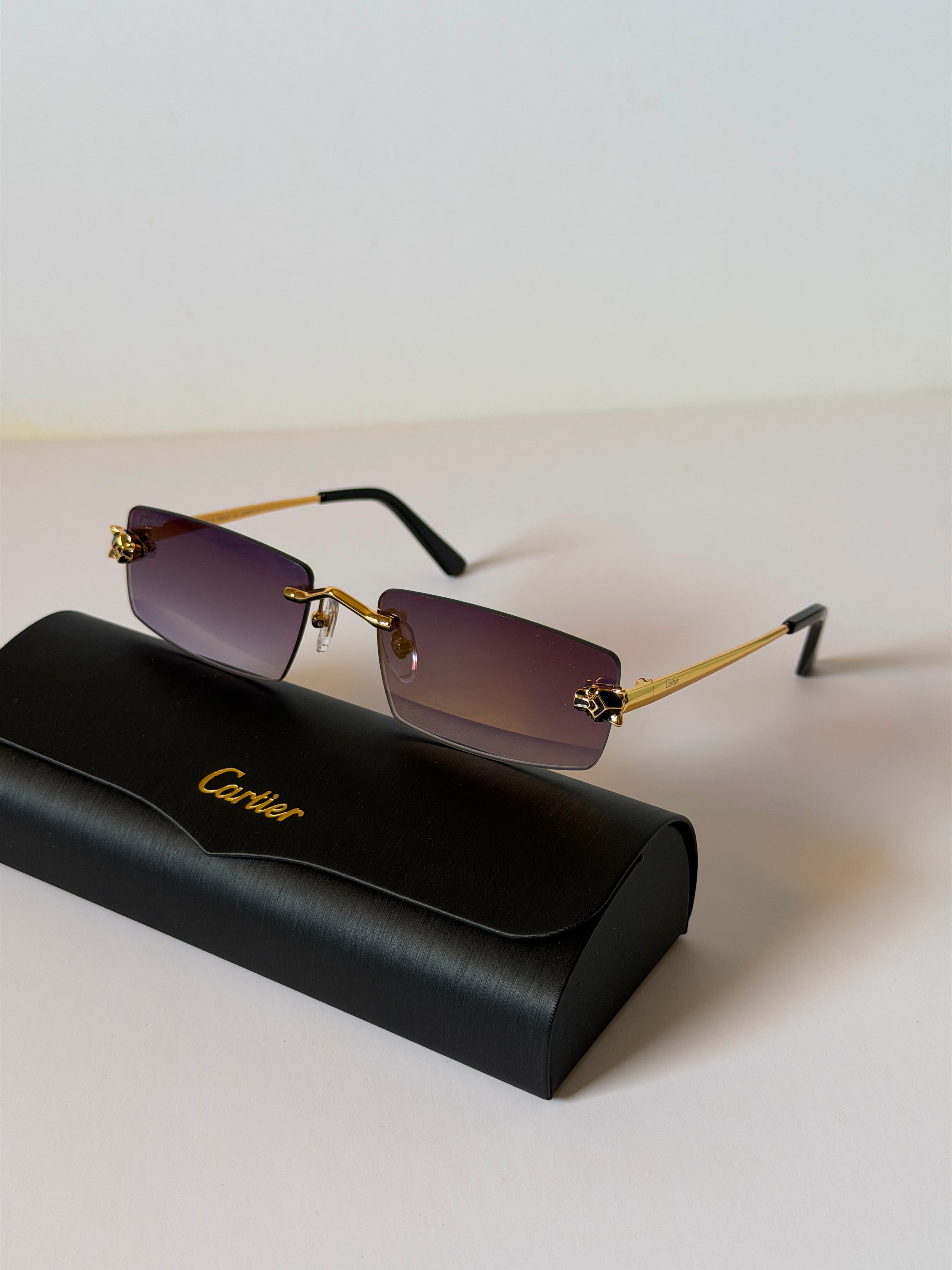 Carter sunglasses 🕶️