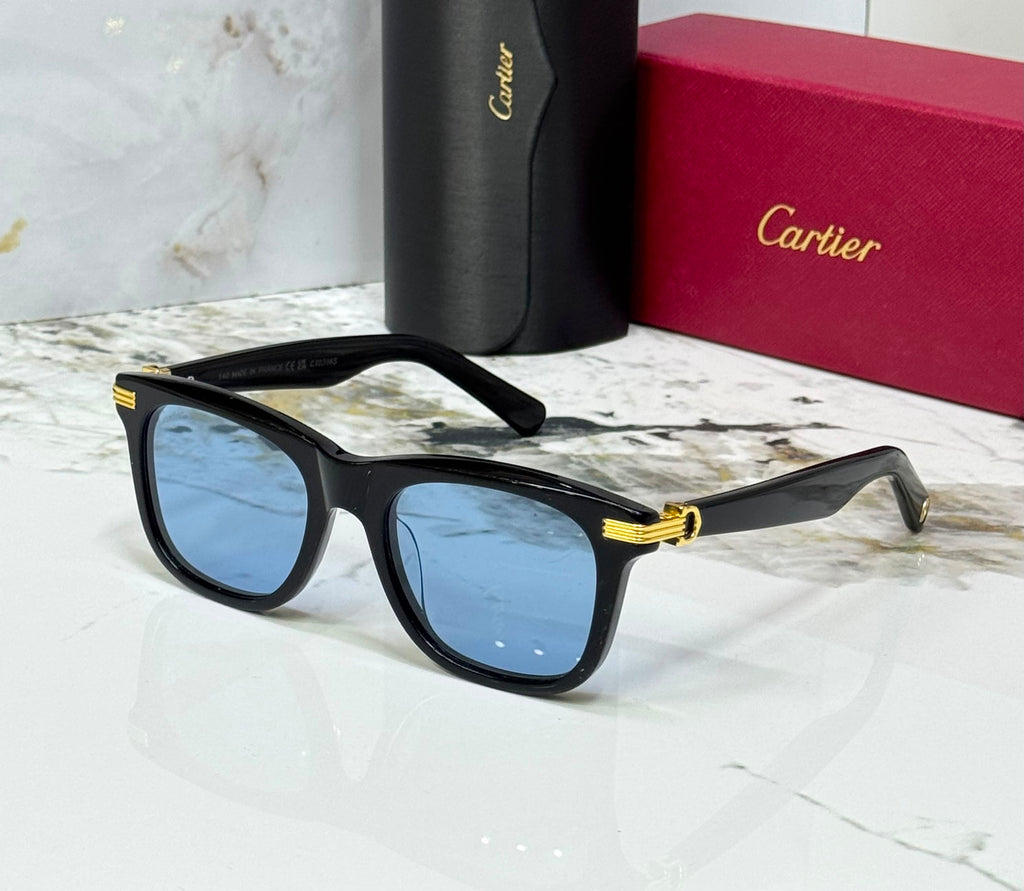 Carter sunglasses 🕶️