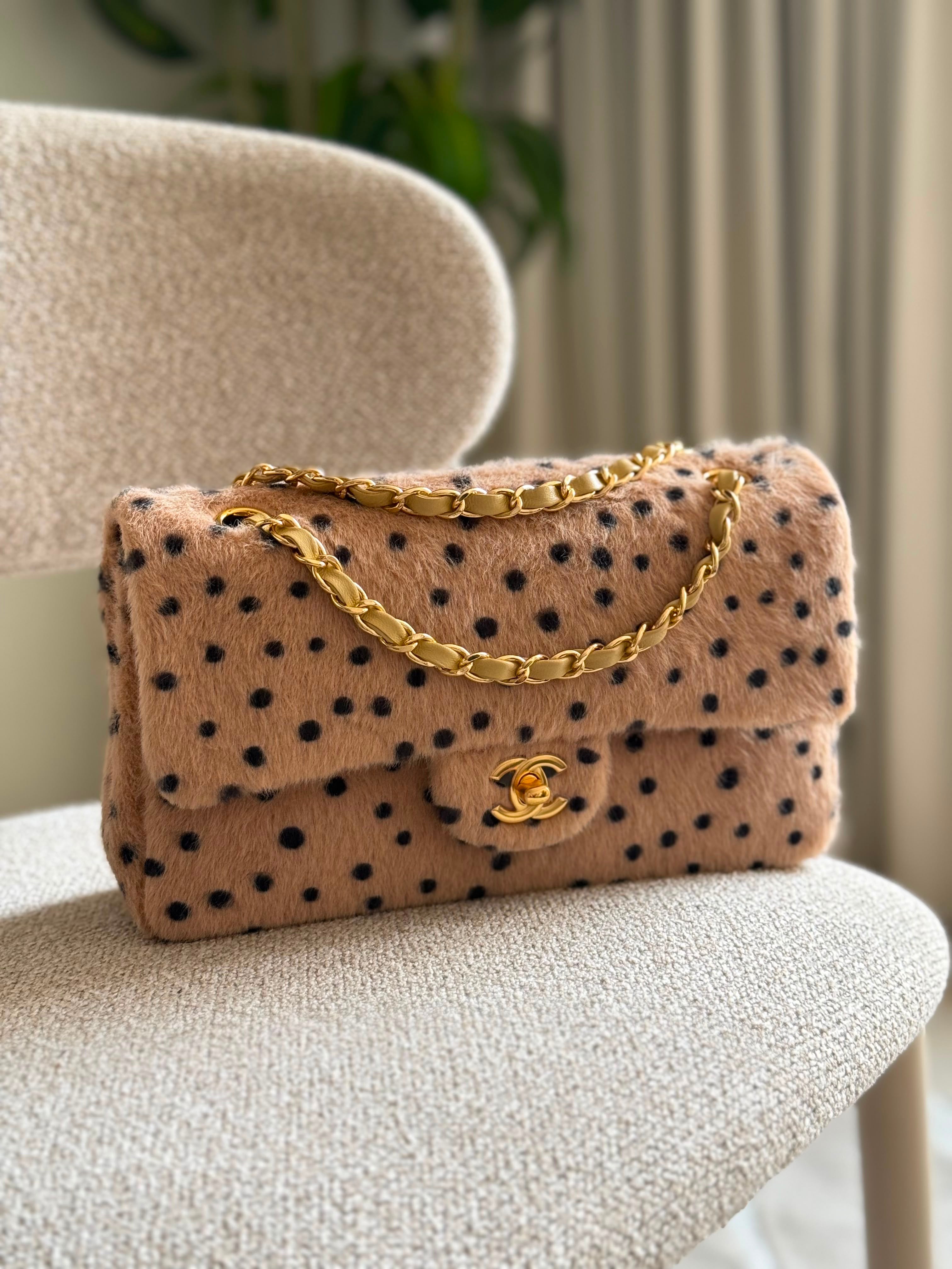 Chanel bag Ladys