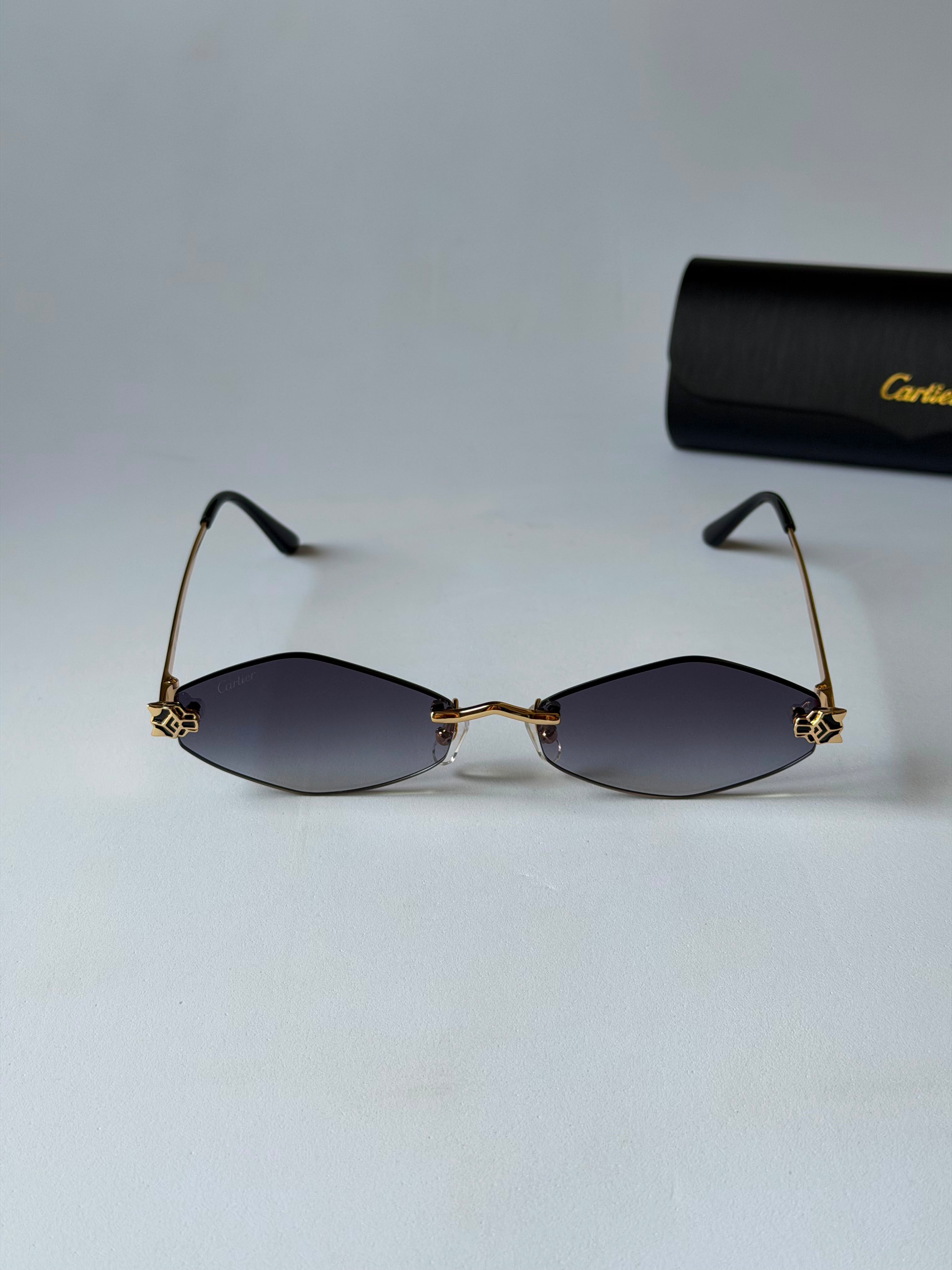 Carter sunglasses 🕶️