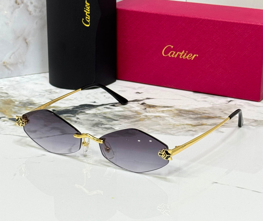 Carter sunglasses 🕶️