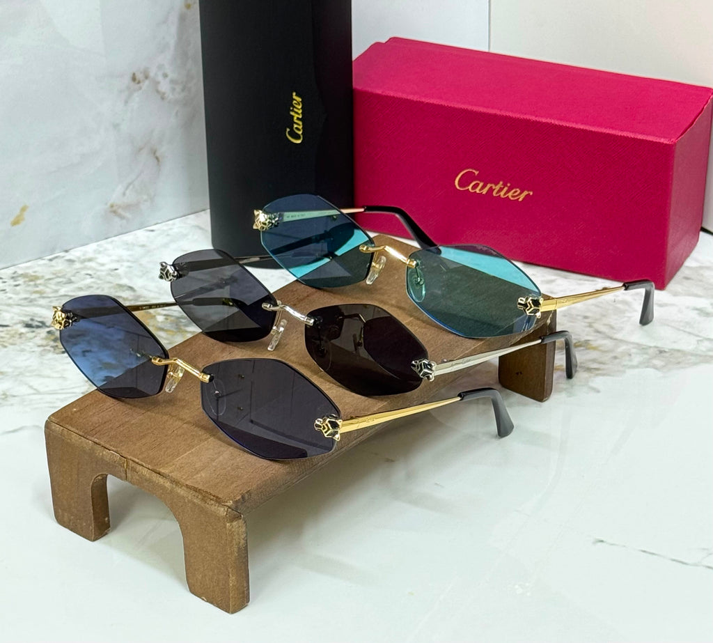 Carter sunglasses 🕶️