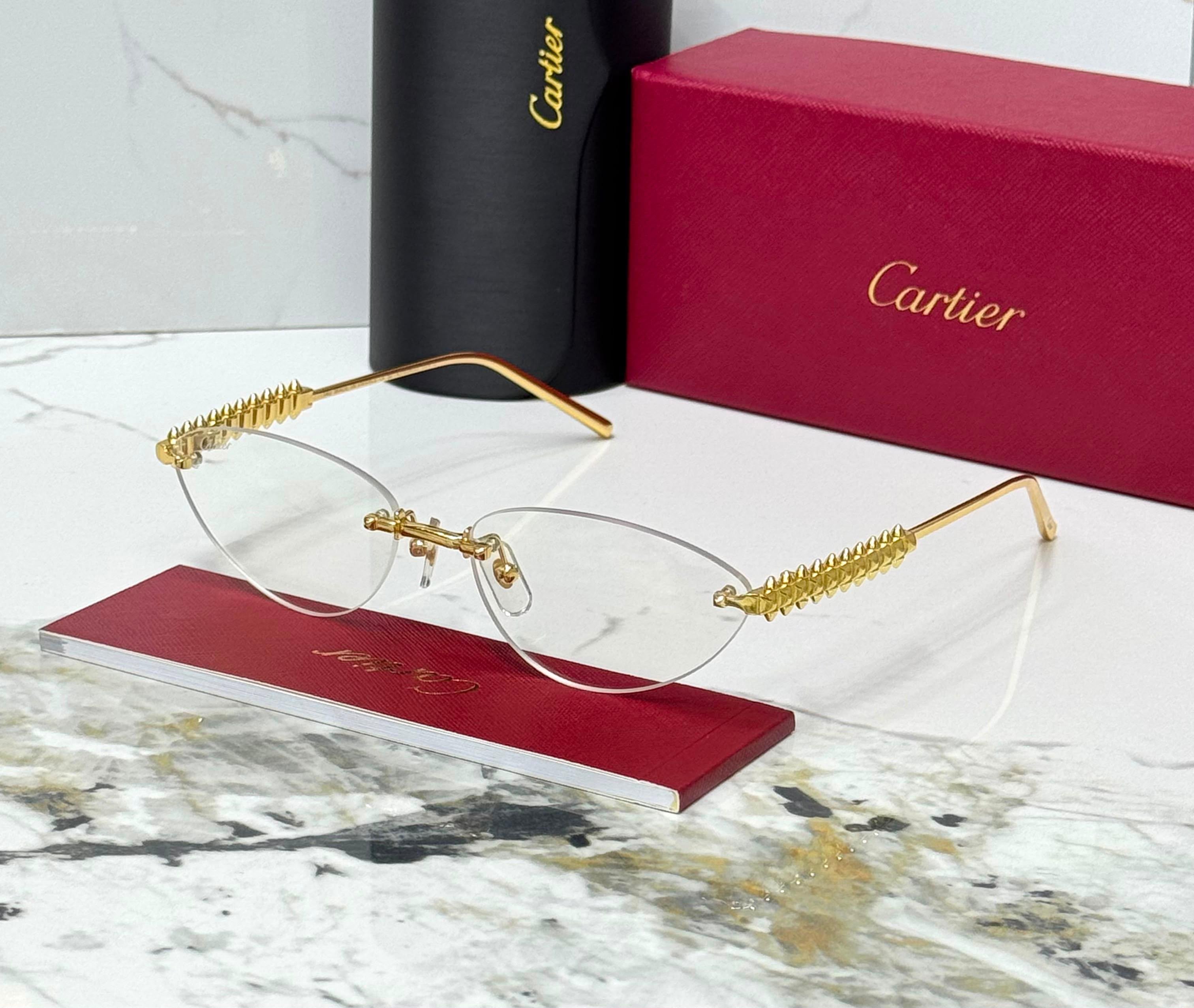 Carter sunglasses 🕶️