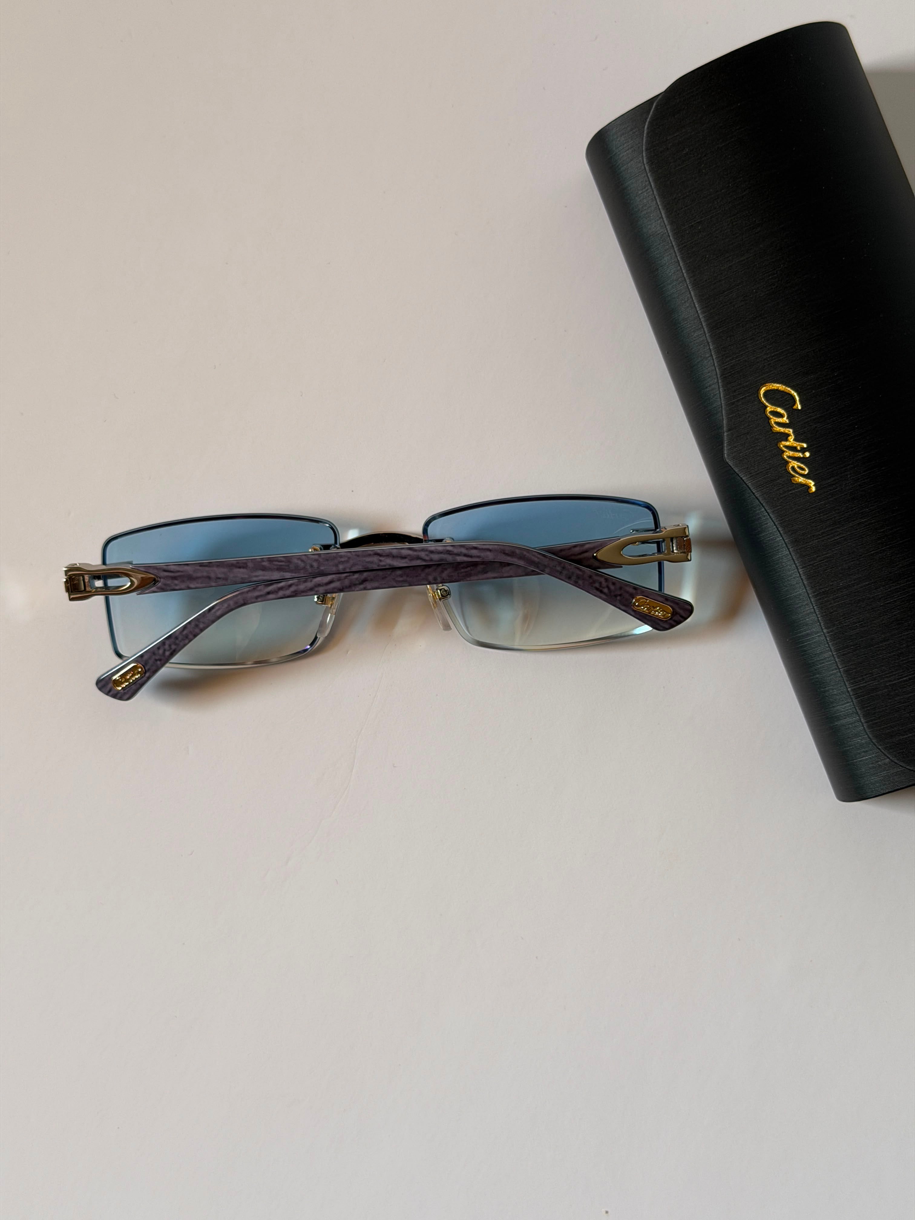 Carter sunglasses 🕶️