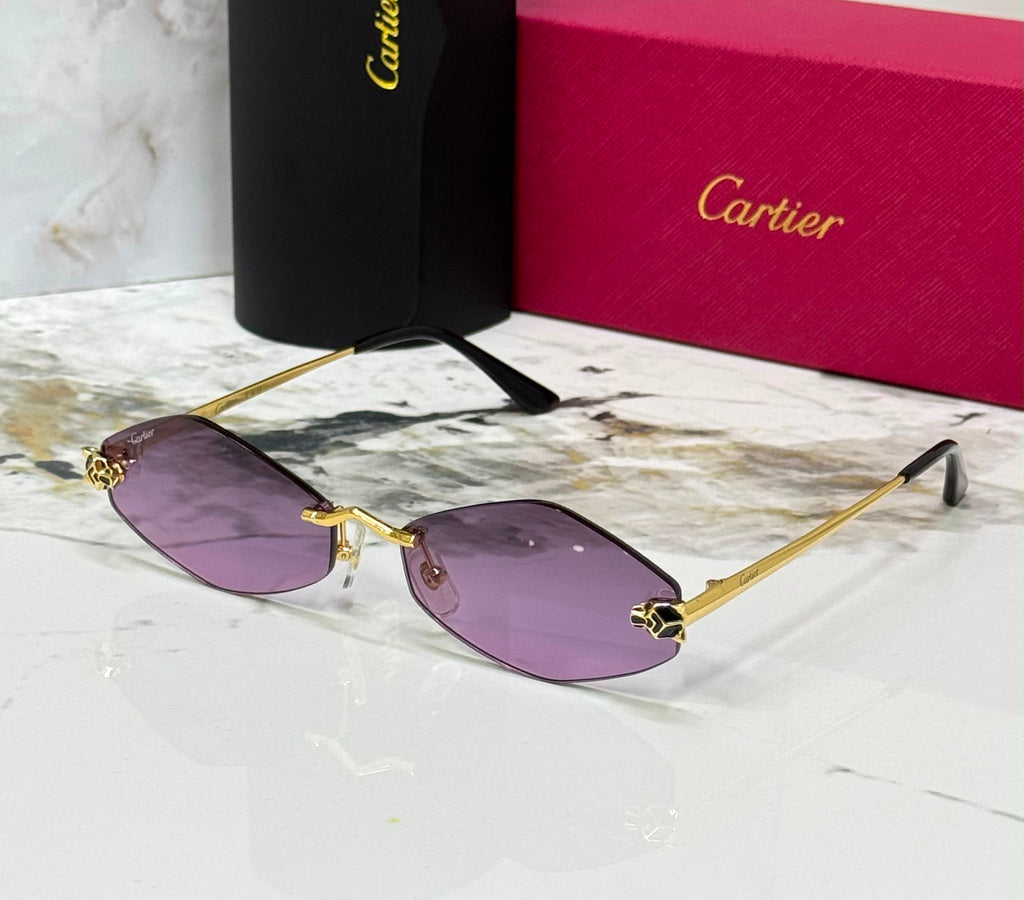 Carter sunglasses 🕶️