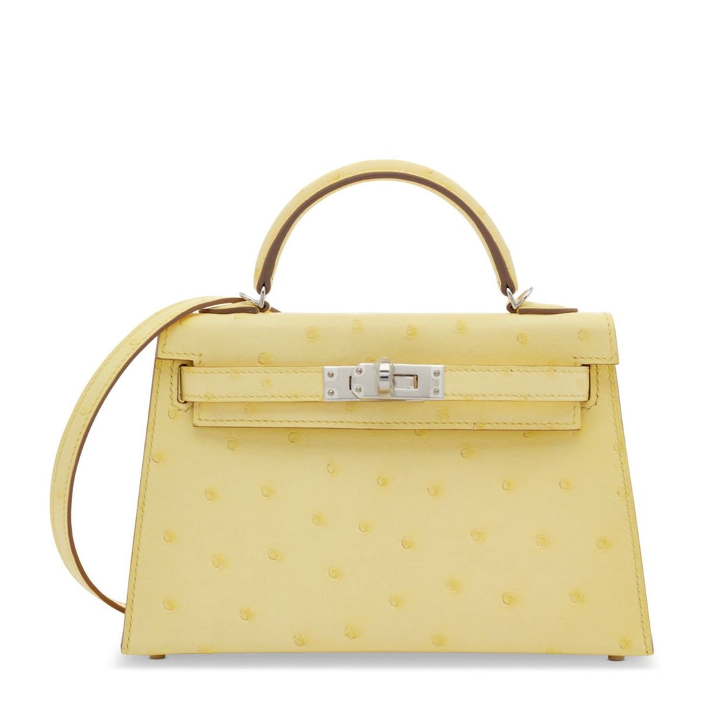 Hermes bag ostrich leather