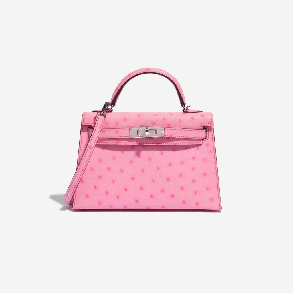 Hermes bag ostrich leather