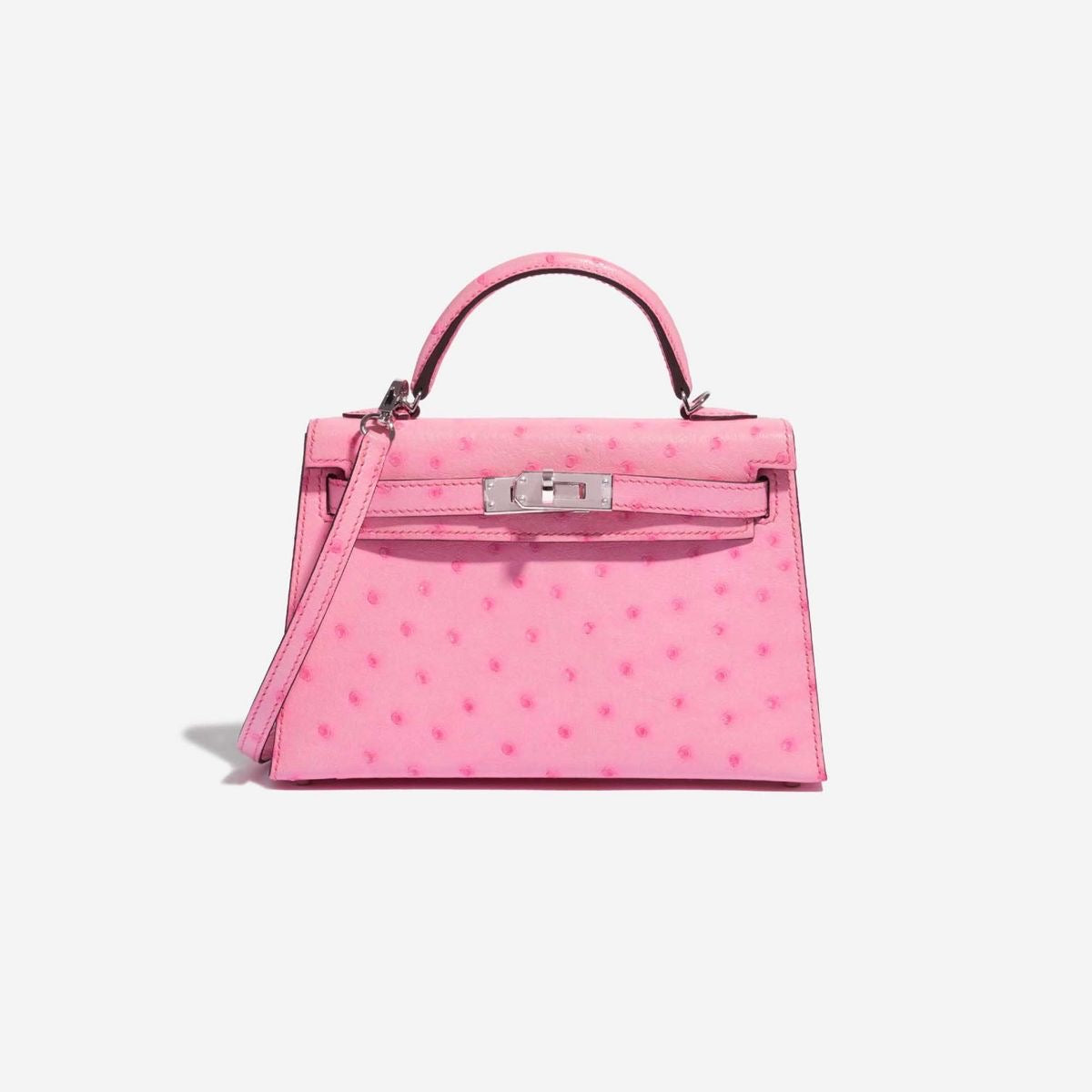 Hermes bag ostrich leather