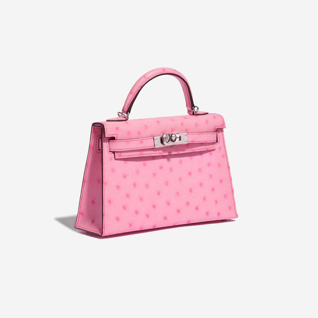Hermes bag ostrich leather