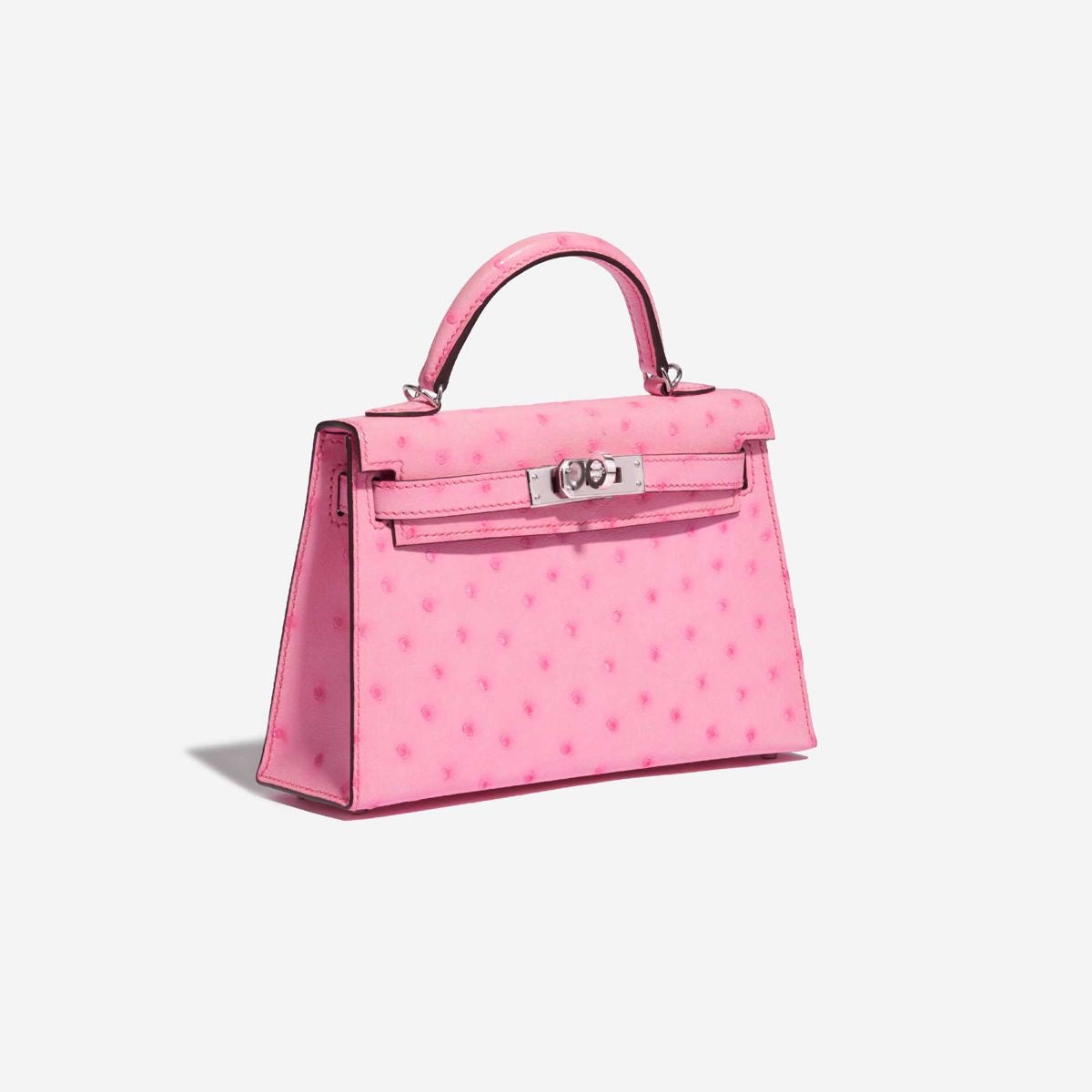 Hermes bag ostrich leather