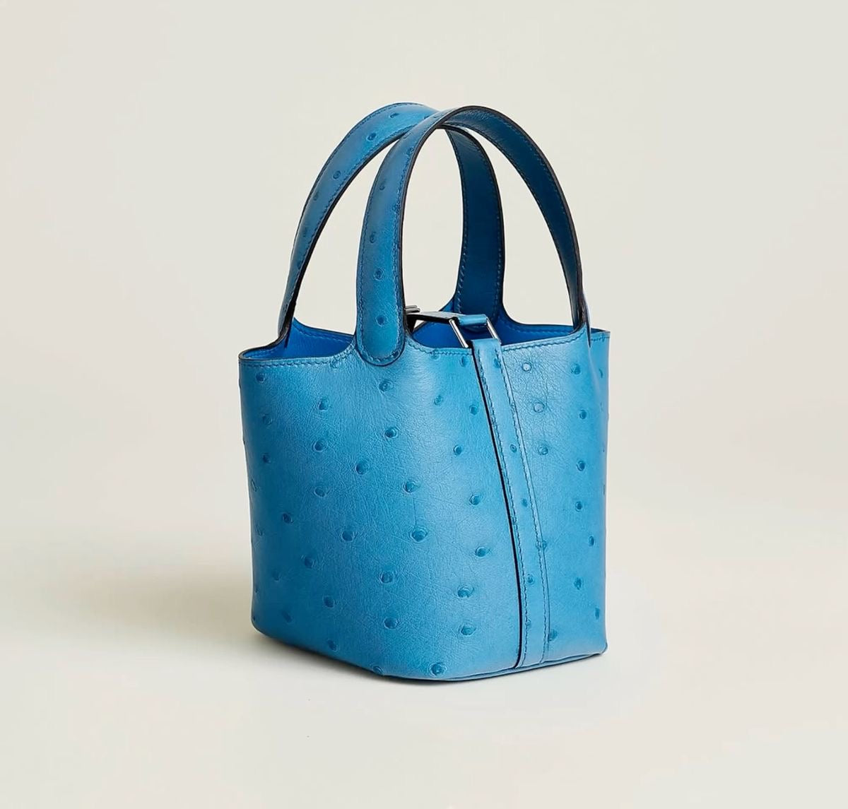 Hermes bag ostrich leather